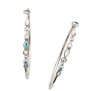 Mixed Media Hoop Earrings